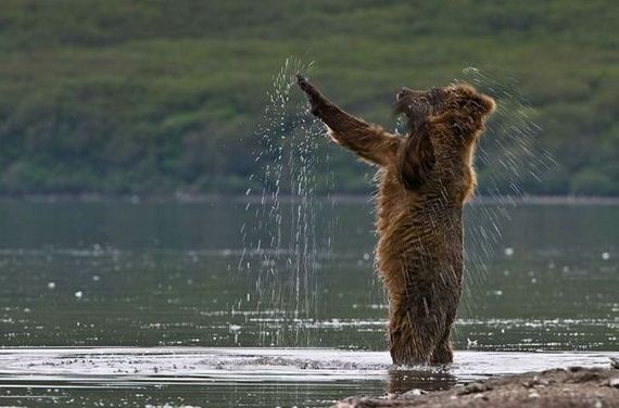 funny-pictures-339