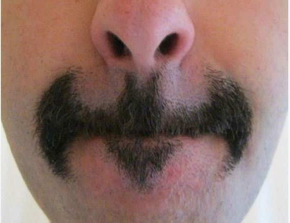funny-pictures-339