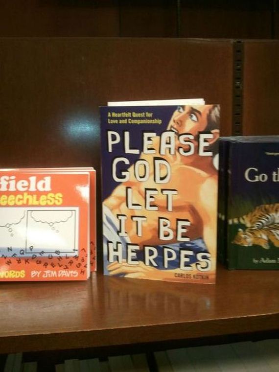 funny-pictures-340