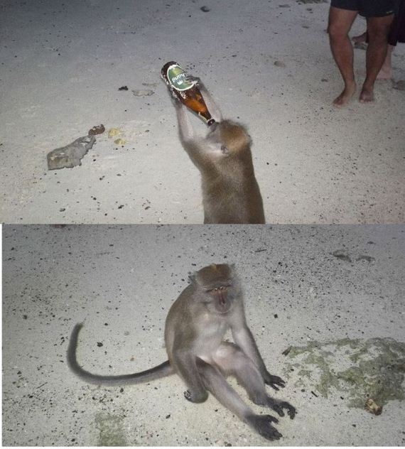 funny-pictures-342