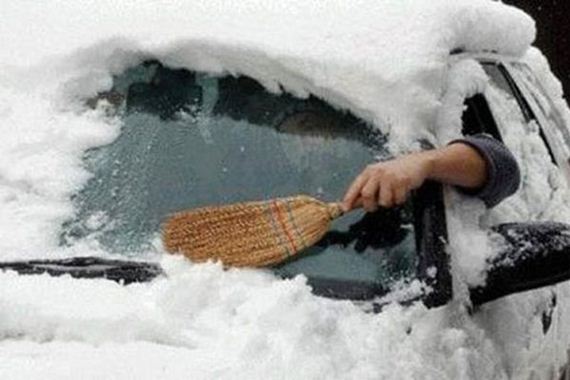 funny-pictures-342