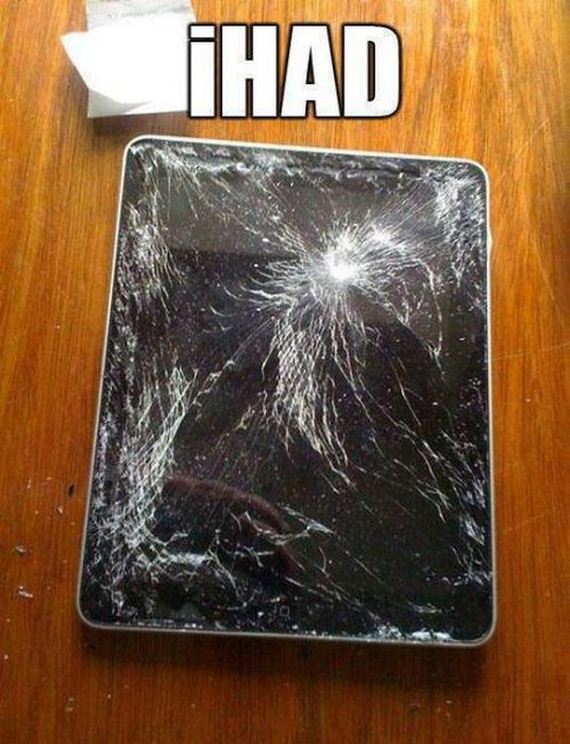 funny-pictures-342