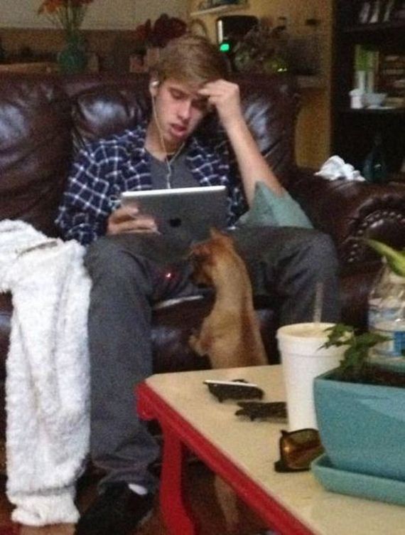 funny-pictures-342