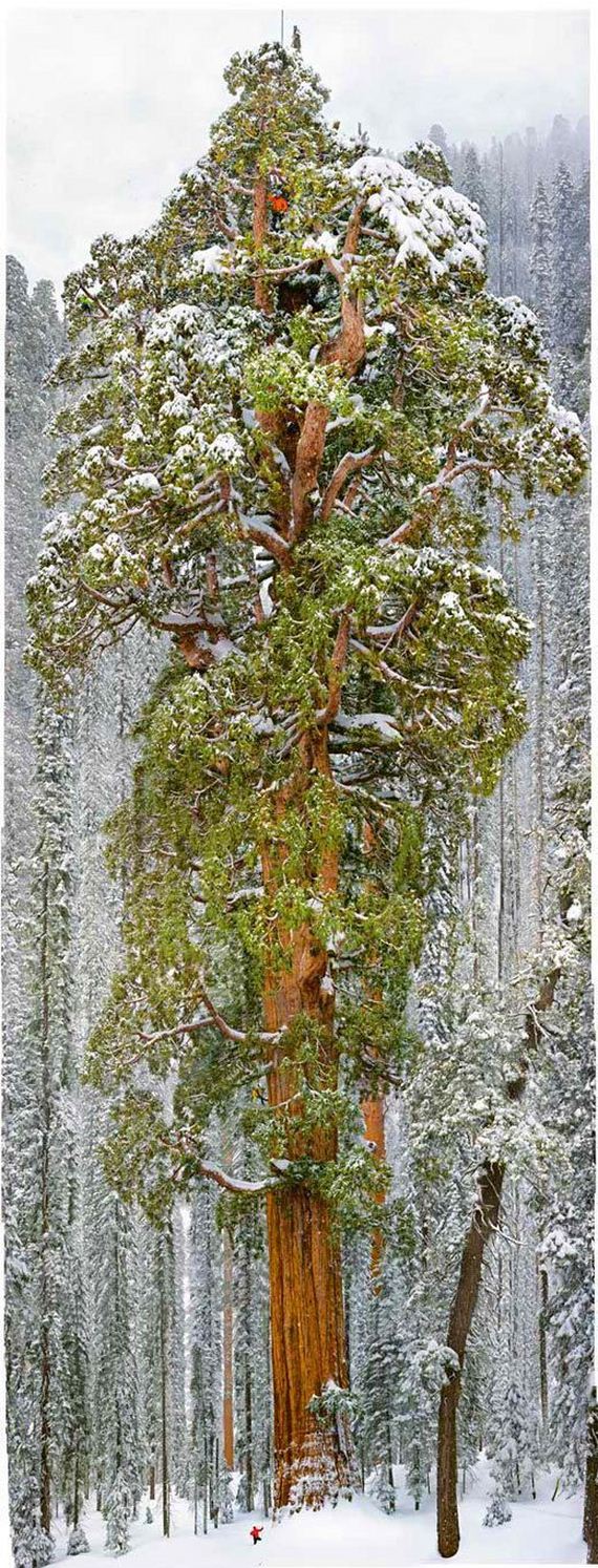 funny-pictures-342