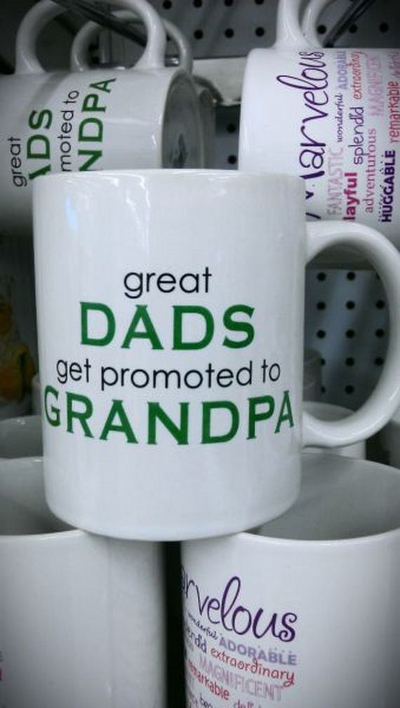 funny-pictures-342