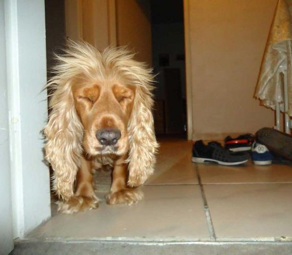 funny-pictures-342