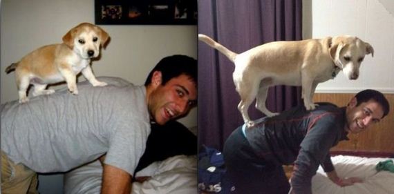 funny-pictures-343