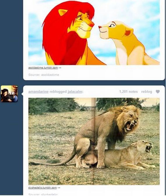 funny-pictures-343