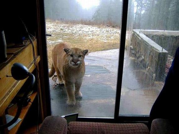 funny-pictures-343