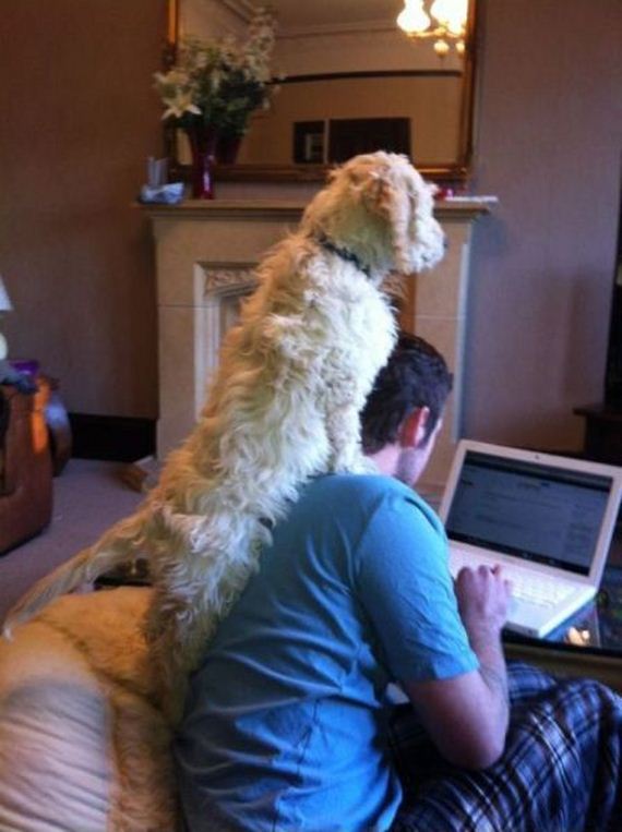 funny-pictures-343
