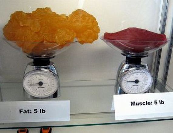 funny-pictures-343