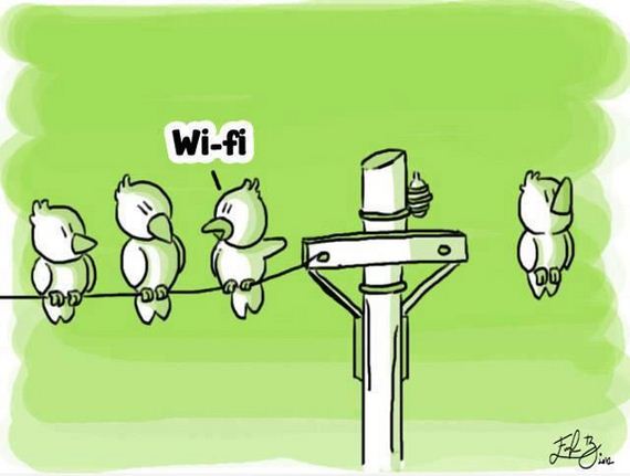 funny-pictures-343