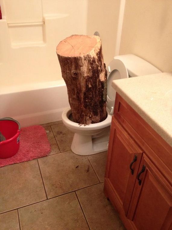 funny-pictures-343