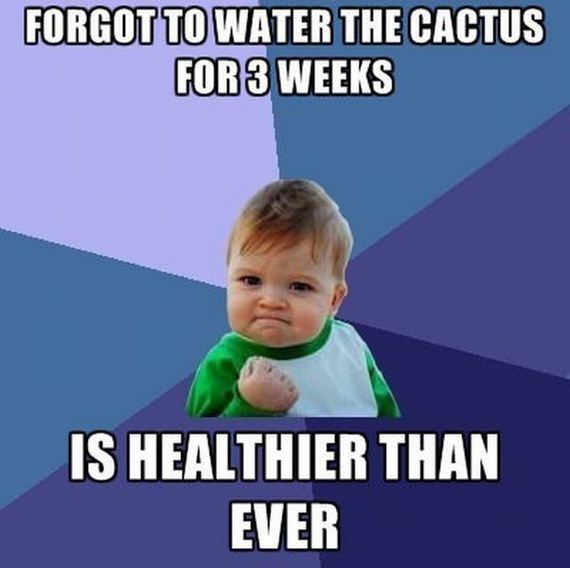 funny-pictures-346