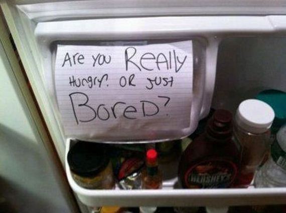funny-pictures-346