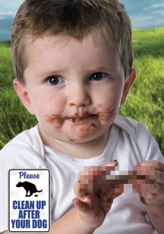 funny-pictures-346