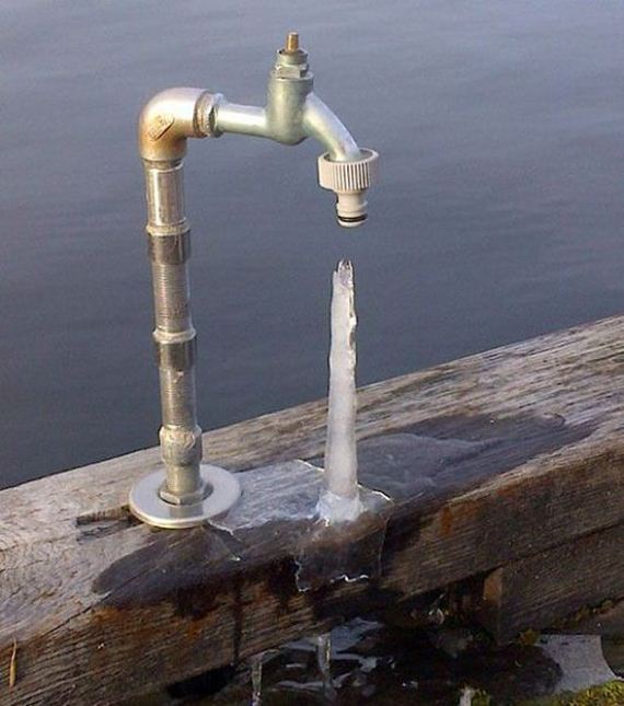 funny-pictures-346