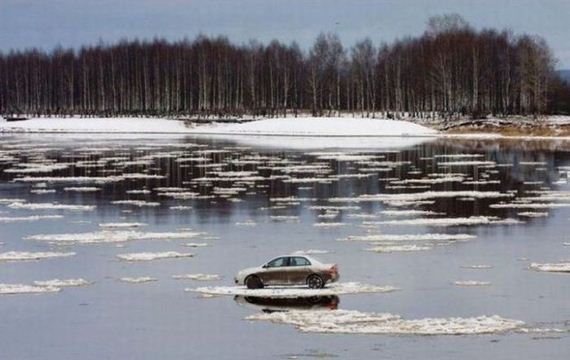funny-pictures-346
