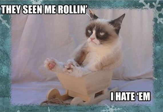 funny-pictures-346
