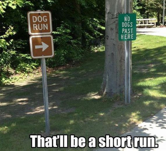 funny-pictures-347