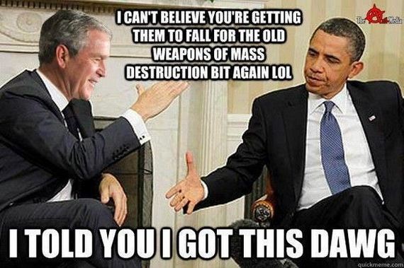 funny-pictures-347