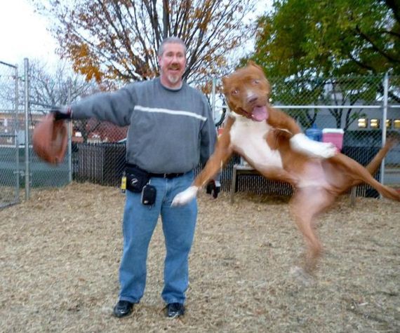 funny-pictures-348