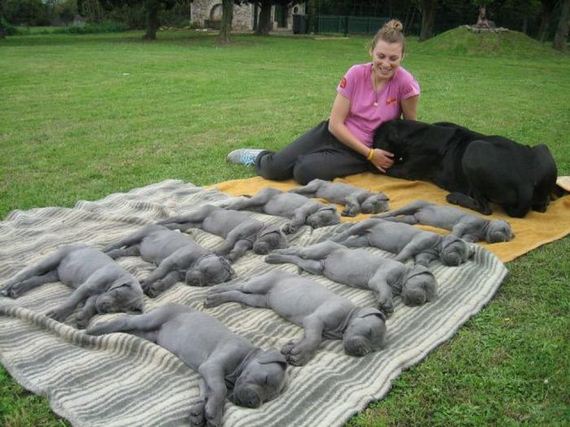 funny-pictures-348