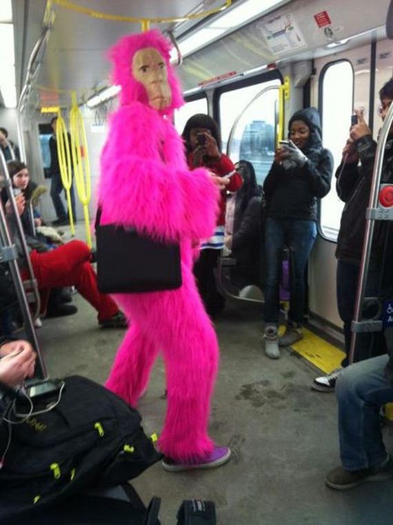 funny-pictures-348