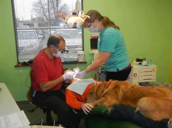 funny-pictures-348