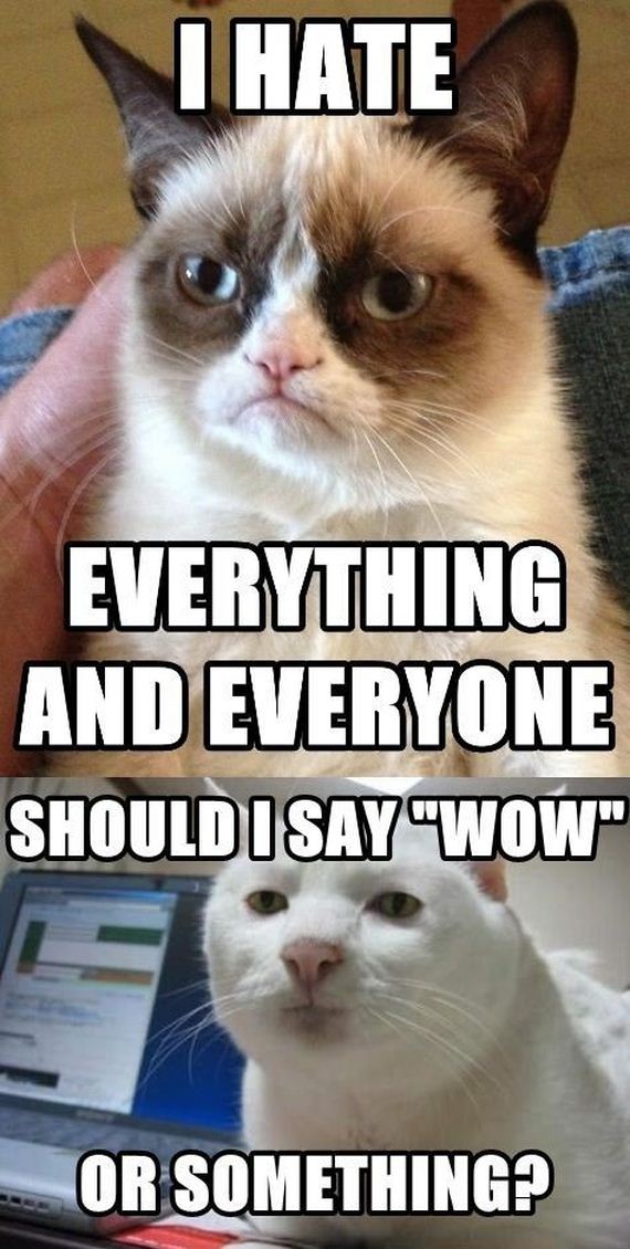 funny-pictures-348