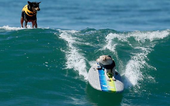 funny-pictures-348
