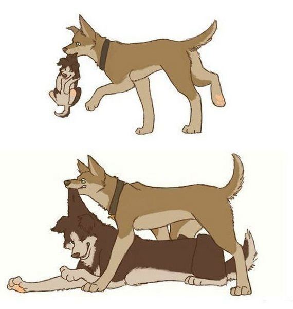 funny-pictures-349