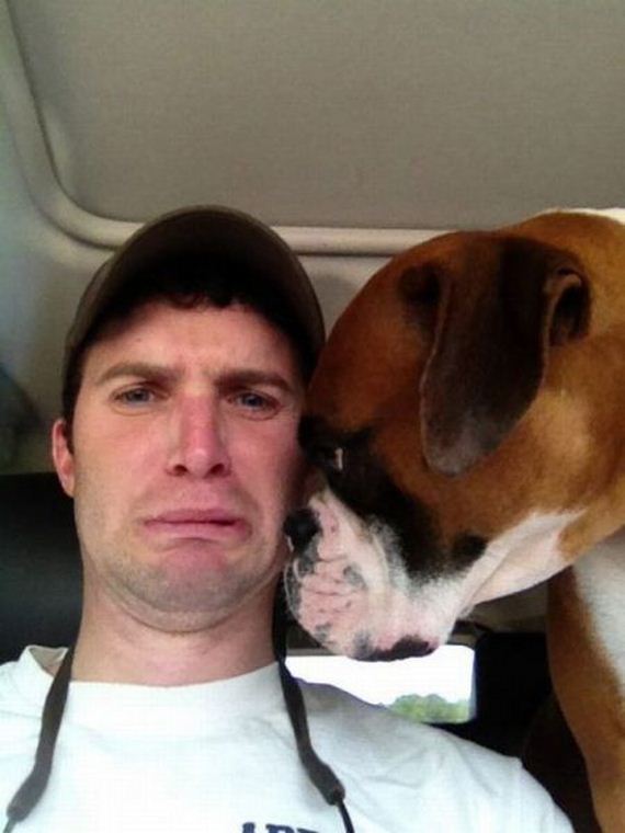 funny-pictures-349