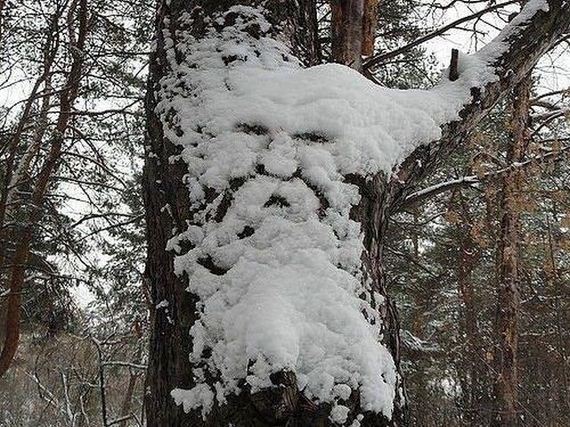 funny-pictures-349