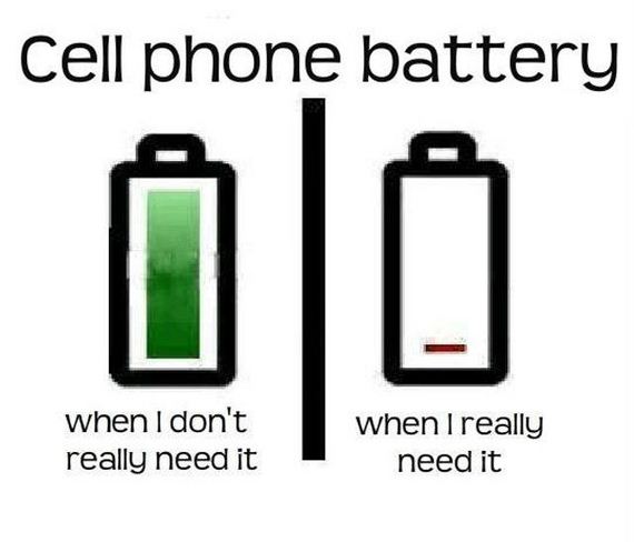 funny-pictures-349