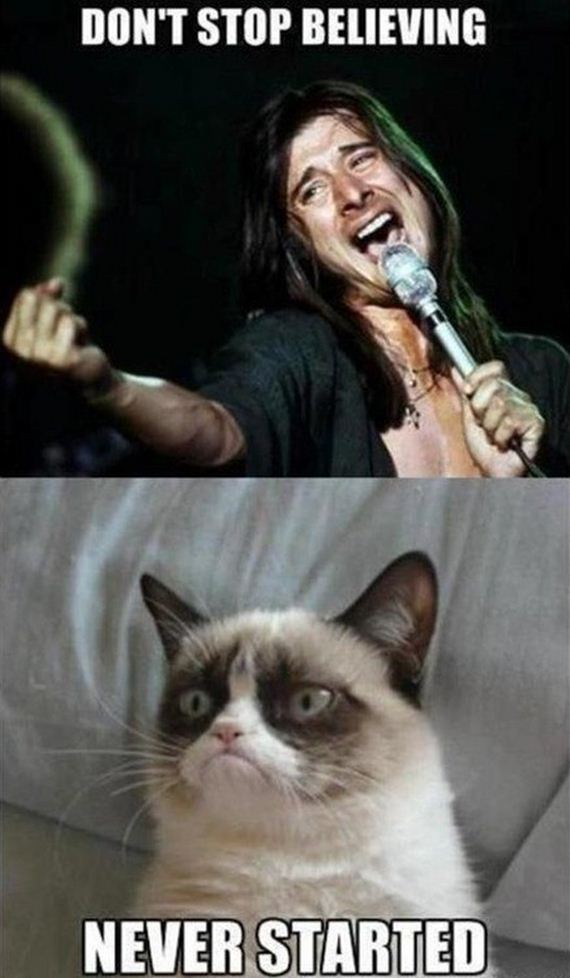 funny-pictures-350