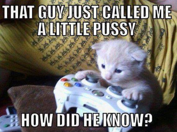 funny-pictures-350