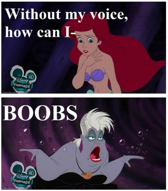 funny-pictures-350