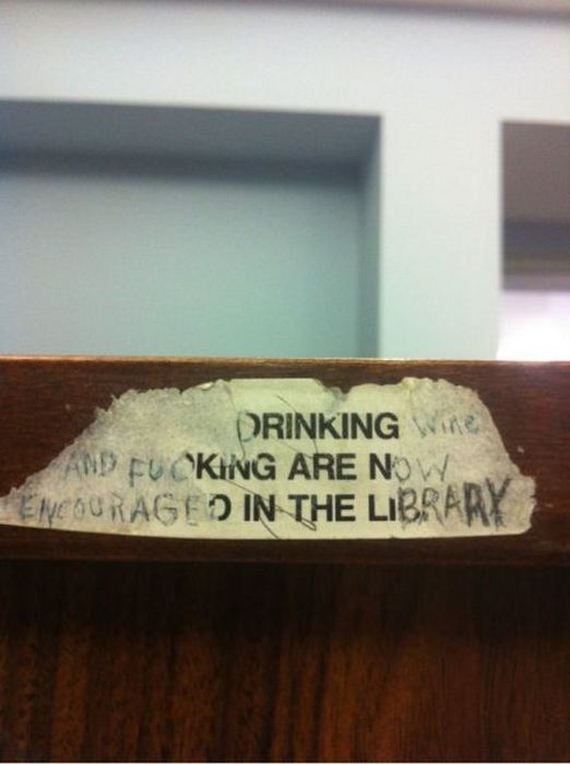 funny-pictures-351