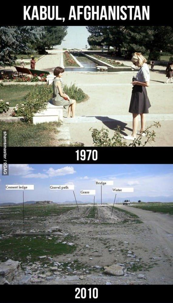 funny-pictures-351
