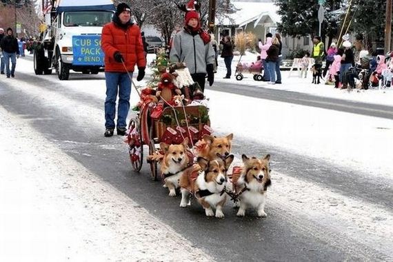 funny-pictures-351