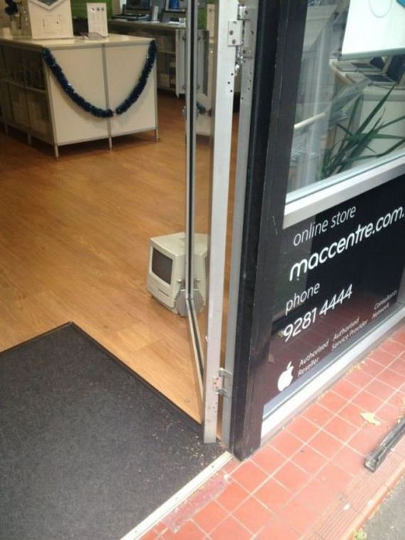 funny-pictures-352