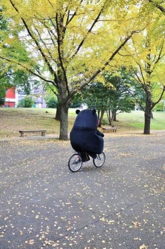 funny-pictures-352