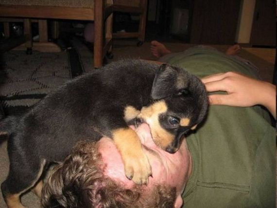 funny-pictures-352