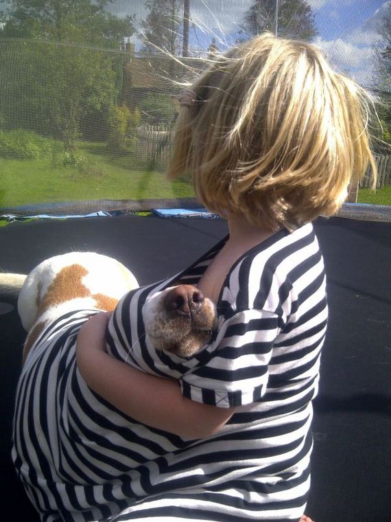 funny-pictures-352