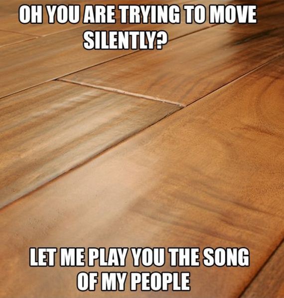 funny-pictures-352