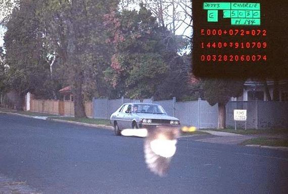 funny-pictures-352