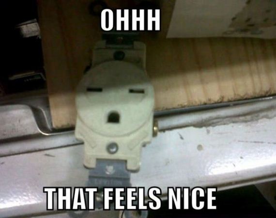 funny-pictures-353