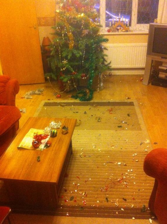 funny-pictures-354