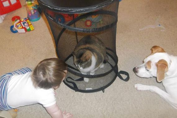 funny-pictures-354
